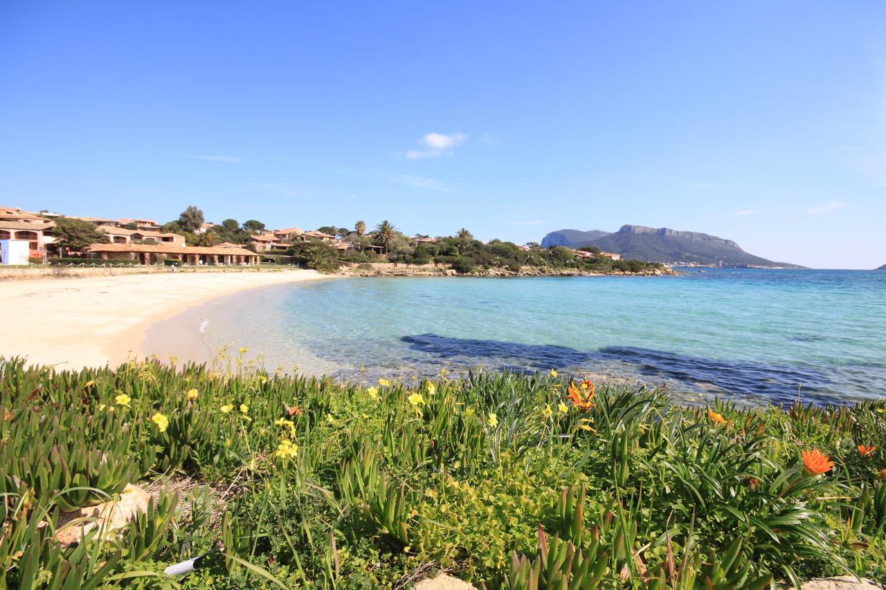 Apartment In S'Abba E Sa Pedra With Pool Golfo Aranci Buitenkant foto